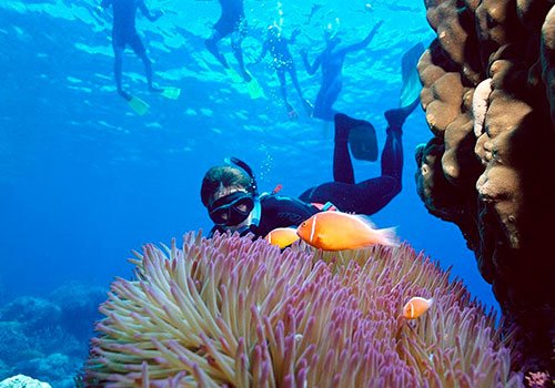 Snorkeler in clear water